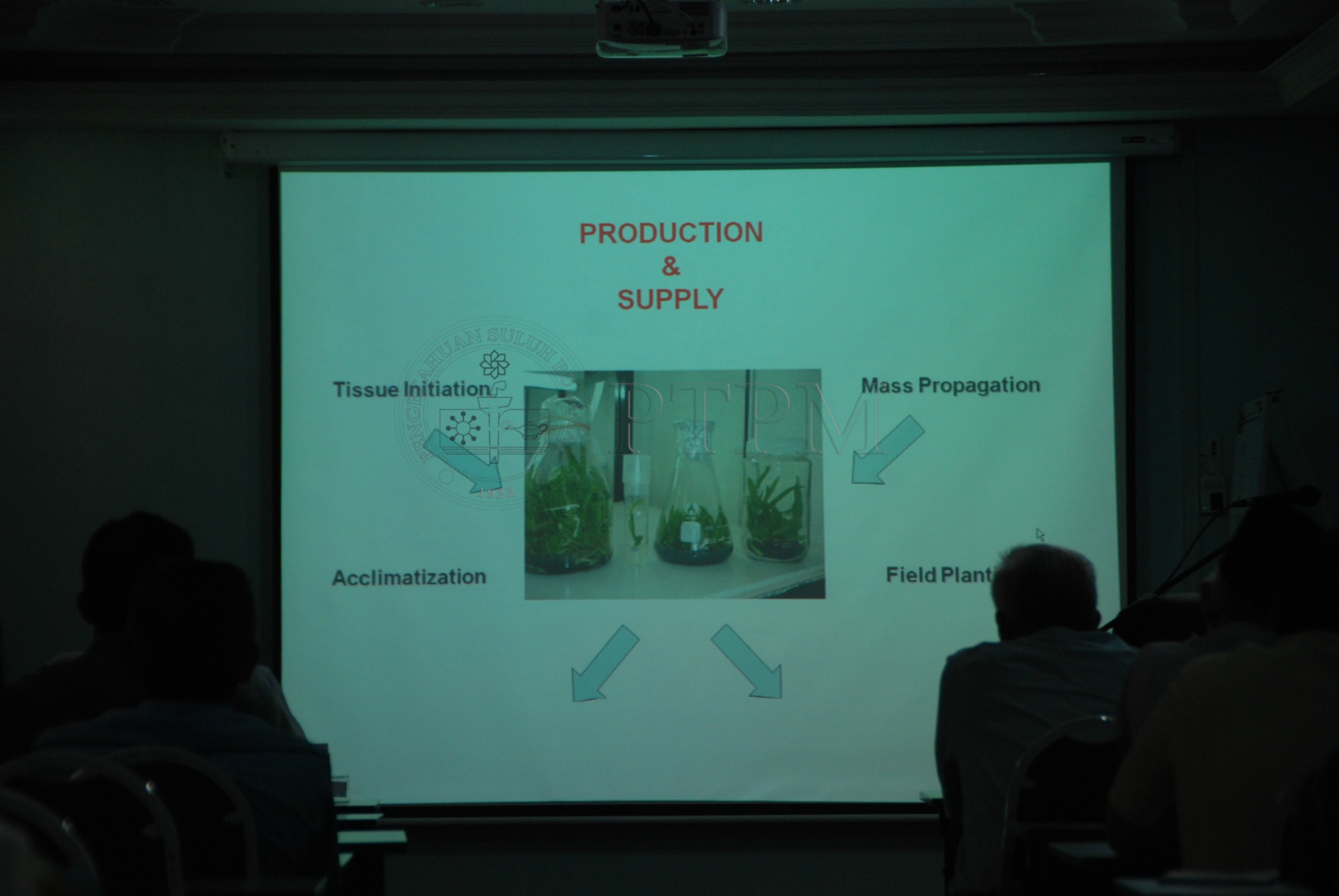 PTPM 12 3 PLANT   DSC 5455